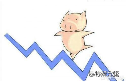 生猪下半年行情会怎样?