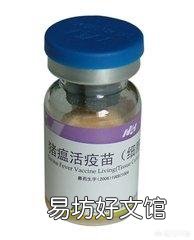 猪得了猪瘟应该怎么治?