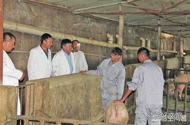 私人养殖场,有公司要来合作,他们提供仔猪,饲料,防疫,我们来养,行吗?