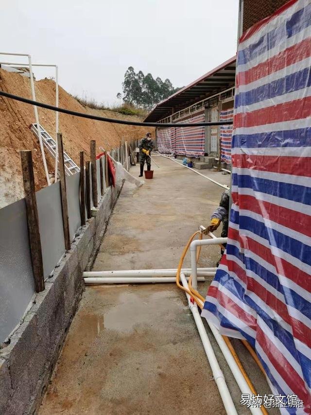 私人养殖场,有公司要来合作,他们提供仔猪,饲料,防疫,我们来养,行吗?
