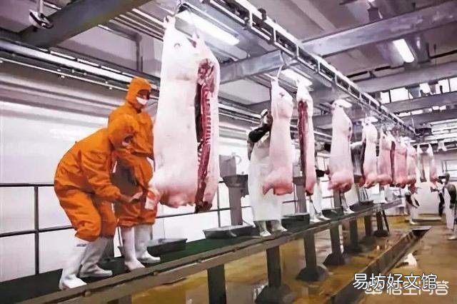 猪肉检疫章为什么洗不掉,吃了没事吗?
