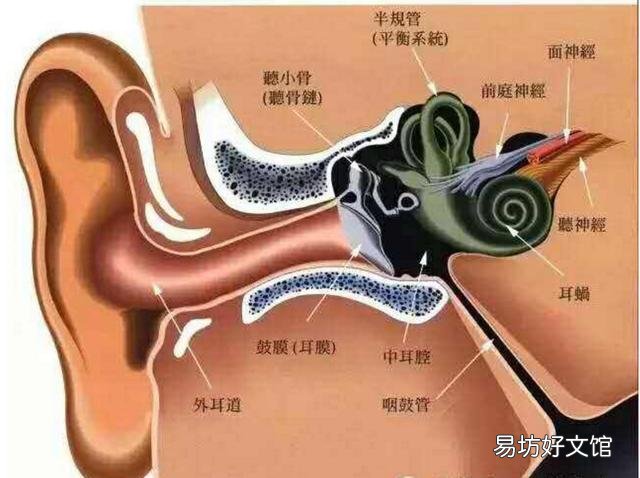 不同性质耳聋的病因有哪些?