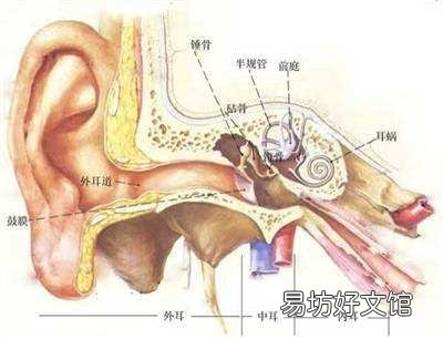 不同性质耳聋的病因有哪些?