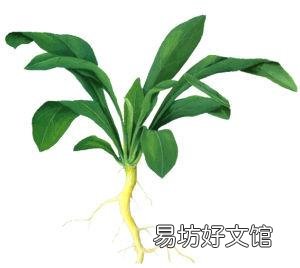 猪咳喘多喂青菜有效果吗?
