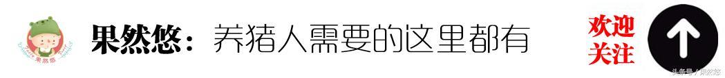 有什么中药治疗母猪待产病毒腹泻?