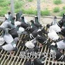 今年养殖什么好?