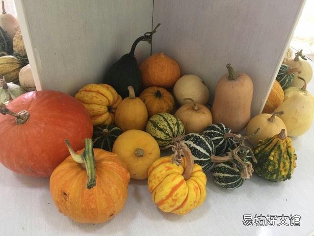 在农场工作是一种什么体验？