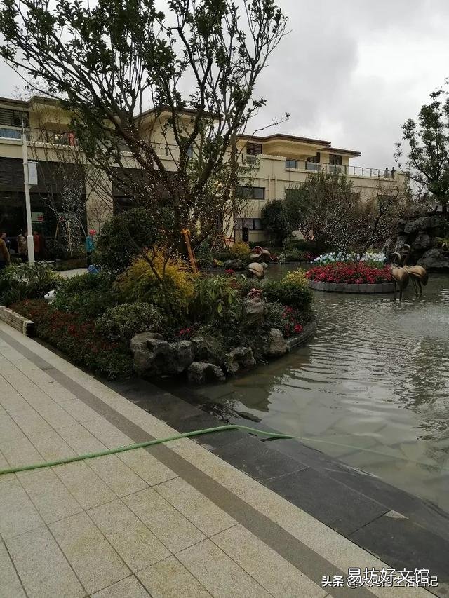 十年后的农村房子是什么样的?