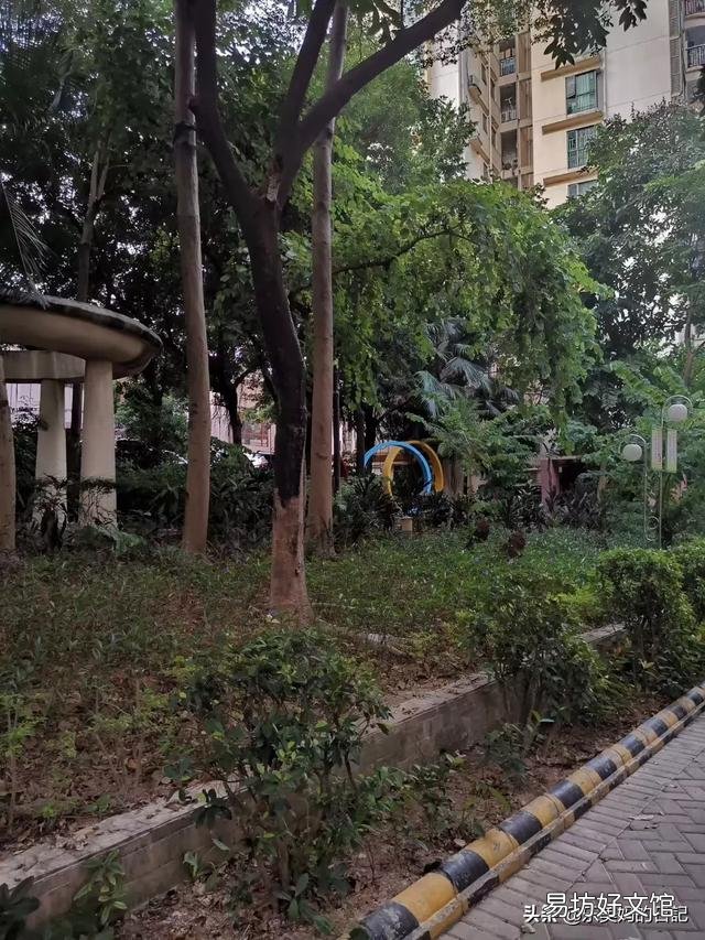 十年后的农村房子是什么样的?