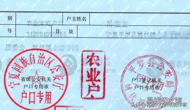 十年后的农村房子是什么样的?