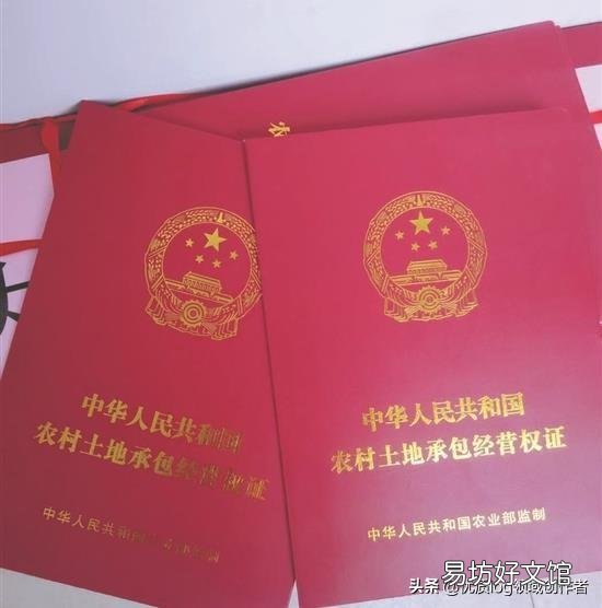 十年后的农村房子是什么样的?