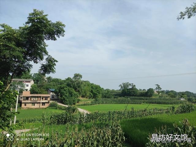 在农村为什么越来越多的人修建别墅?