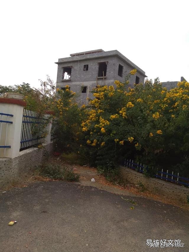 农村建房是建200平米一层还是建100平米两层?哪个好?