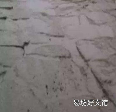 常见的混凝土裂缝产生的原因以及其预防的措施有哪些?
