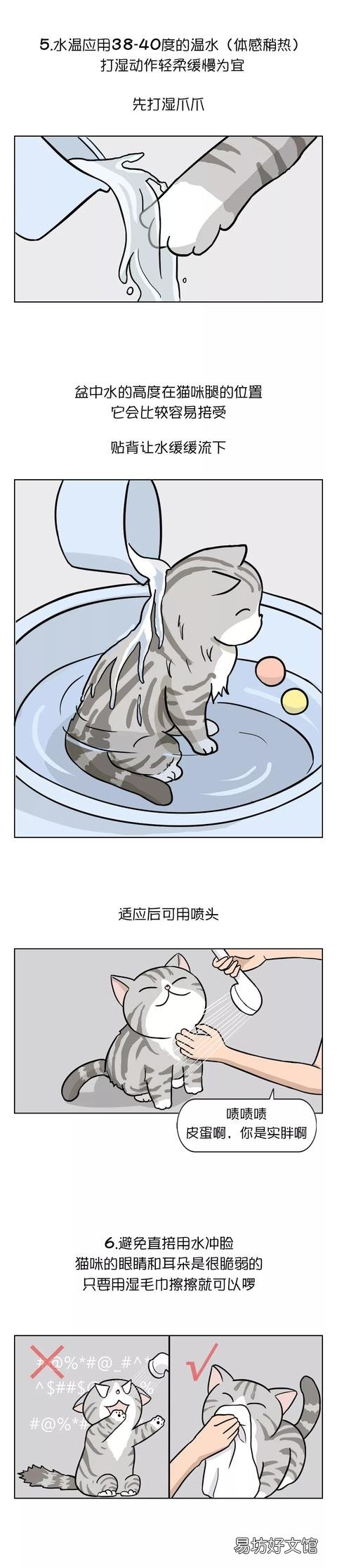 让猫自愿洗澡小妙招(怎么让猫自愿洗澡)