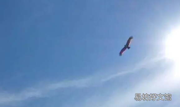 扶摇直上的意思是什么