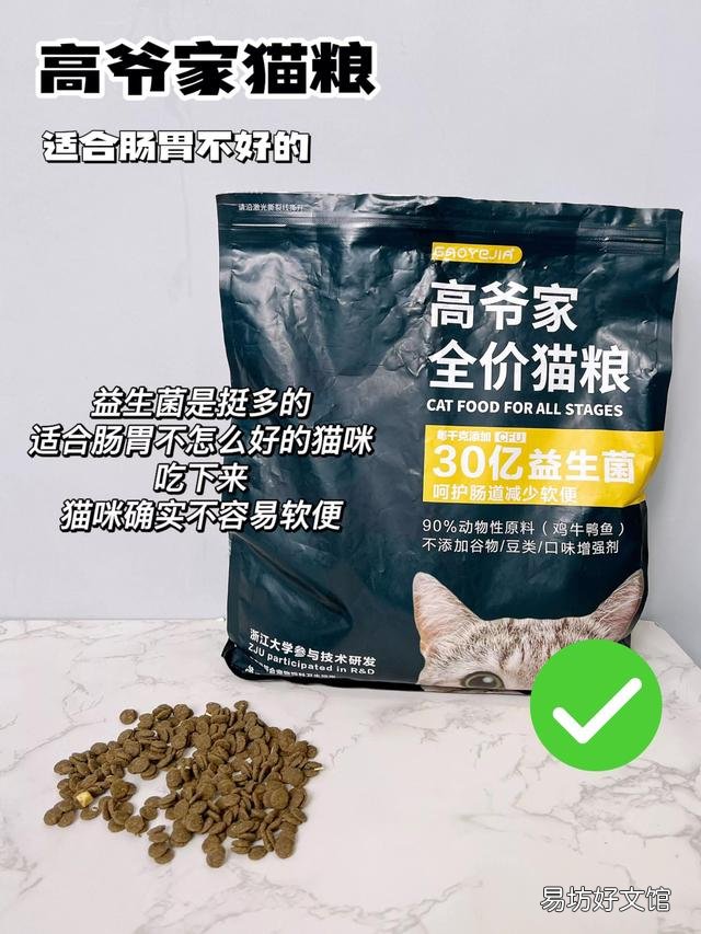 黑猫品种(黑猫品种名称及图片)