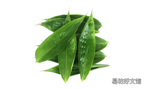 粽叶怎么处理 粽叶煮出来很绿有问题吗