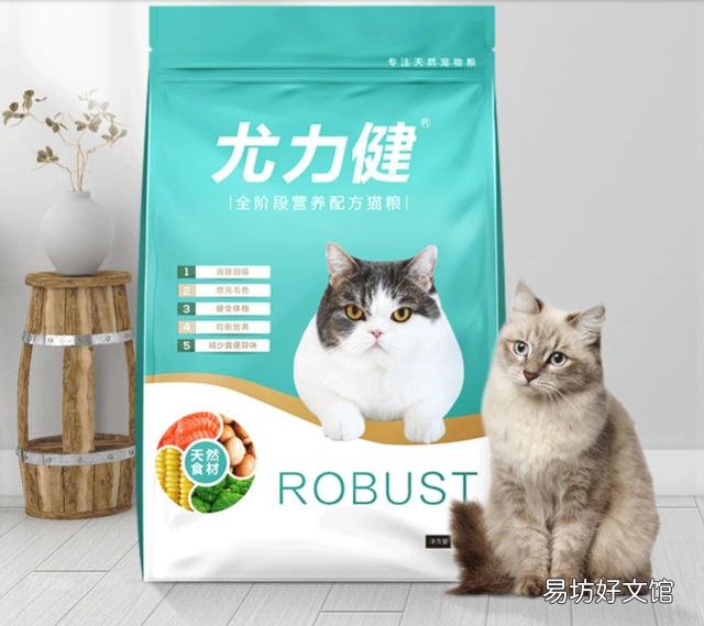 流浪猫吃什么(流浪猫吃什么食物)