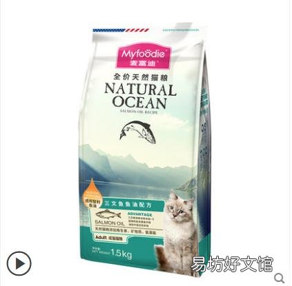 流浪猫吃什么(流浪猫吃什么食物)