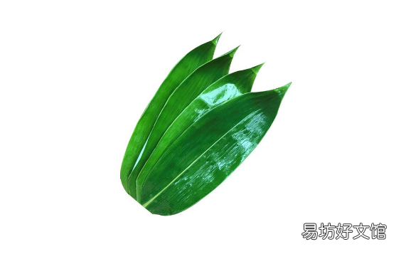 粽叶怎么挑选 粽叶是薄的好还是厚一点的比较好