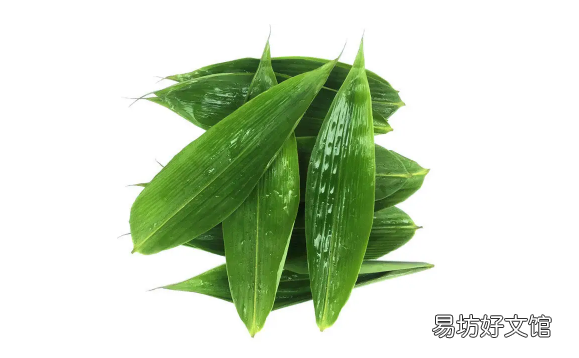 粽叶怎么挑选 粽叶是薄的好还是厚一点的比较好