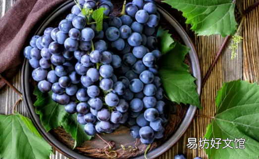 葡萄怎么看新不新鲜 葡萄表面白霜多是新鲜还是不新鲜