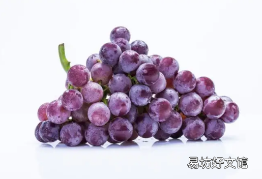 葡萄上的白霜需要洗掉吗 葡萄上的白霜是农药还是果粉