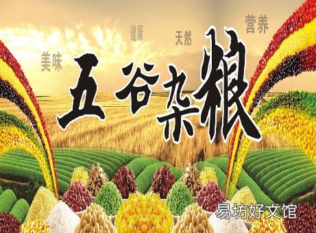 五谷为养:中医教你怎么吃五谷杂粮最营养