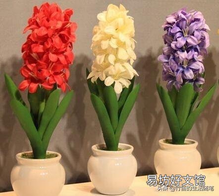 什么花不适合摆在家里养?因为影响健康?