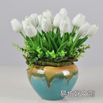 什么花不适合摆在家里养?因为影响健康?