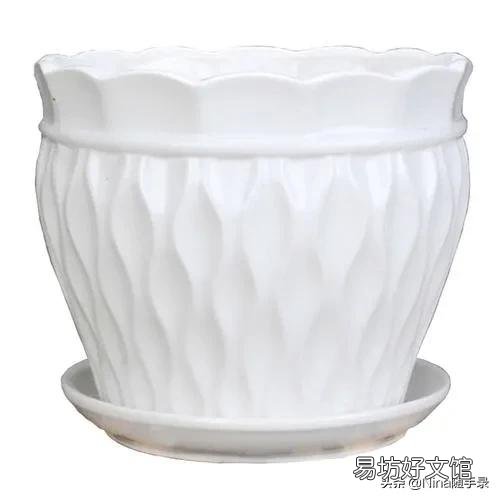 4月份买的栀子花现在能换盆吗?