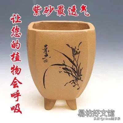 4月份买的栀子花现在能换盆吗?