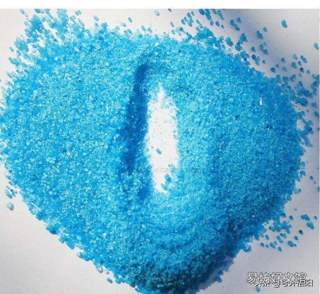 我的月季今年第二年,新枝的底部都是黄叶,是什么原因?