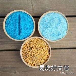 我的月季今年第二年,新枝的底部都是黄叶,是什么原因?