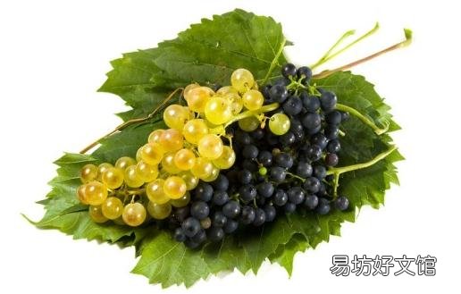 吃什么可以预防感冒?萝卜缓解感冒
