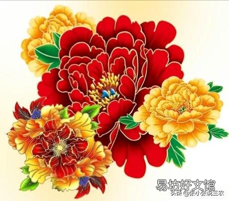北方农村院子里种了几颗牡丹,到了冬季如何管理?