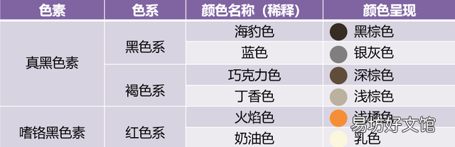 什么叫海豹双色布偶猫(海豹双色布偶猫图片)