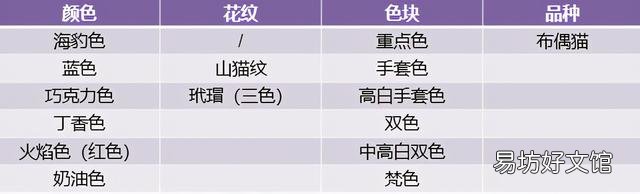什么叫海豹双色布偶猫(海豹双色布偶猫图片)