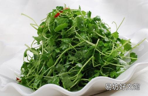 冬吃香菜可治感冒 七款香菜食疗菜谱推荐