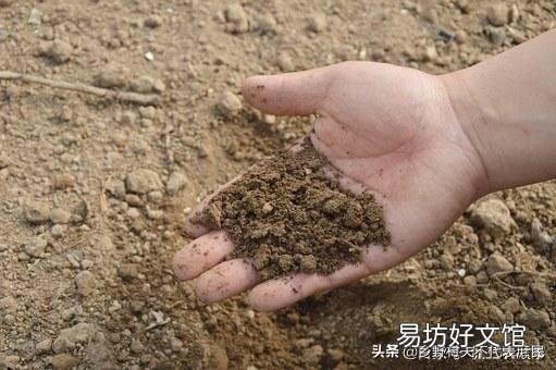 磷酸二氢钾为什么叫“万能肥”?
