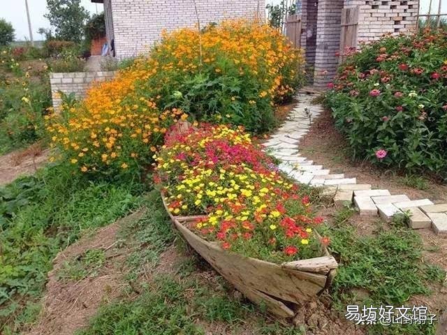 北方有的农村有个小院子，可以种菜种花，回家做自媒体怎么样啊？