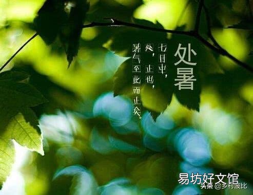 立秋后,农村男人怕“两只老虎”,具体是哪两只?有道理吗?