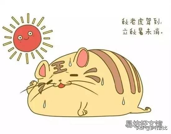 立秋后,农村男人怕“两只老虎”,具体是哪两只?有道理吗?