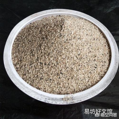 沙 夏天扦插天竺葵,开始长势不错,但后来插入土中的部分黑腐怎么处理?