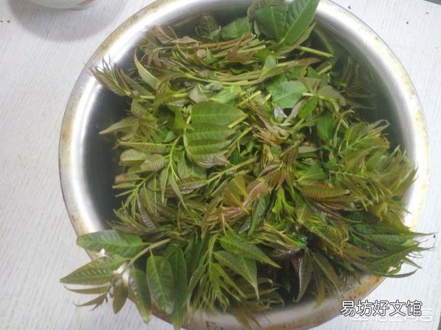 今天谷雨,农村有什么适宜的野菜食用呢?