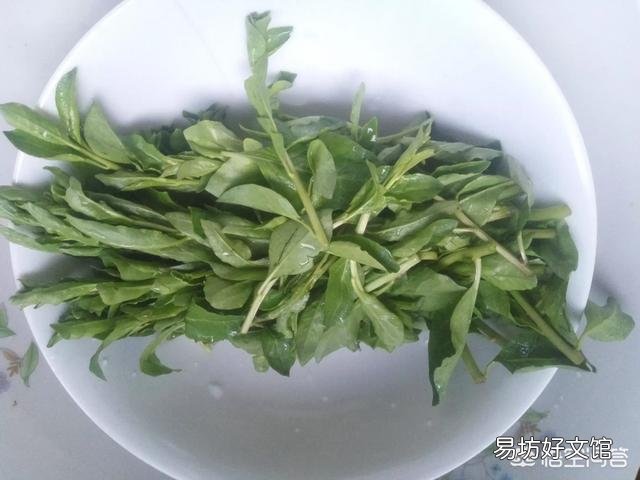 今天谷雨,农村有什么适宜的野菜食用呢?