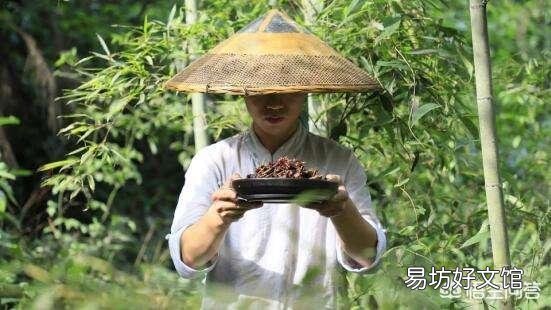 平台上很多认证“三农领域创作者”的作者都开始写段子,讲笑话了,为什么会这样?