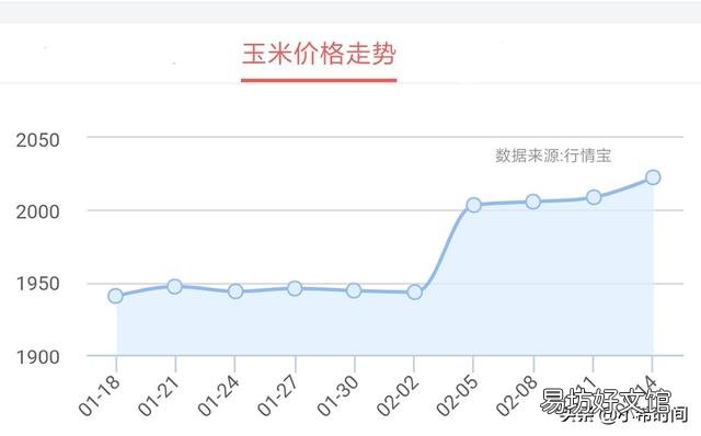 未来十天玉米行情如何，吉林市的？