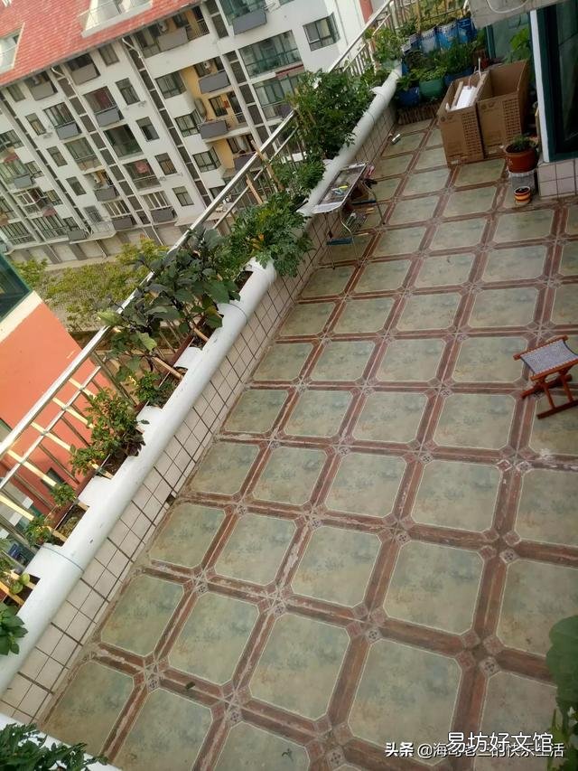在阳台种菜,如何解决土壤和肥料的问题?